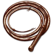 Icoon van programma: Pocket Whip