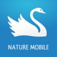 Symbol des Programms: iKnow Birds 2 PRO - Europ…