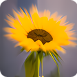 Icon of program: Glamour Filter