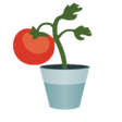 プログラムのアイコン：Urban veggie garden