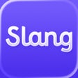 Ícone do programa: Slang: Professional Engli…