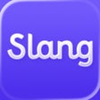 Icona del programma: Slang: Professional Engli…