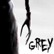 プログラムのアイコン：Grey
