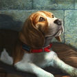 Icoon van programma: Rescue Lucy 2 - Saving Lu…