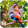 Icon of program: Birds Photo Frames