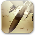 Icon of program: Aviation Wallpaper