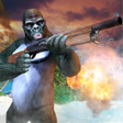 Icon of program: Rise of Monkeys Forest Mi…