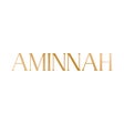 プログラムのアイコン：AMINNAH
