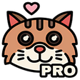 程序图标：MeowVPN PRO