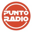 プログラムのアイコン：puntoradio