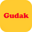 Иконка программы: Gudak Cam