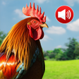 程序图标：Animal Sounds: Ringtones