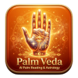 Icoon van programma: PalmVeda