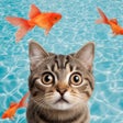 Icoon van programma: Cat Games For Cats: Mouse…