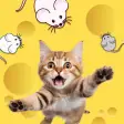 Ícone do programa: Cat Games For Cats: Mouse…