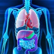 程序图标：X-Ray Skeleton Scanner AR