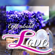 プログラムのアイコン：All about Love