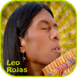 Icon of program: Leo Rojas  - Offline