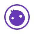 Icoon van programma: Console Vue Query Devtool…