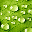 Ikona programu: Spring Live Wallpaper HD