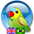 Иконка программы: Vicon English Portuguese …