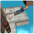 Ikon program: Flip Dive Swim Jumping
