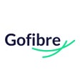 ไอคอนของโปรแกรม: Gofibre
