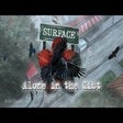 ไอคอนของโปรแกรม: Surface: Alone in the Mis…