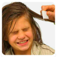 程序图标：Head Lice Tips