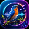 Ikona programu: Birds Sounds  Birds Ringt…