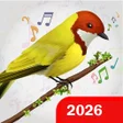 程序图标：Birds Sounds  Birds Ringt…