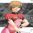 Programın simgesi: Sweet Half-Life