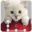Cat Lock Screen  Wallpaper