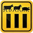 Programikonen: Cow Sheep Pig