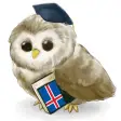 MTL Learn Icelandic