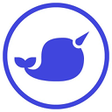 Иконка программы: webhint