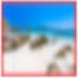 Missing ALT attribute images detector icon