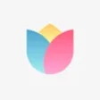 Programikonen: MIUI Daily Wallpaper
