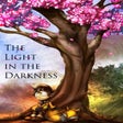 프로그램 아이콘: The Light in the Darkness