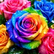 Icon of program: Roses live wallpaper
