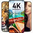 Иконка программы: Amazing Wallpapers 4K  HD