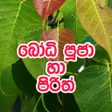 プログラムのアイコン：Bodhi puja ha pirith