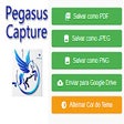 Pegasus Capture Window