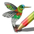プログラムのアイコン：Coloring for Adults