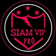 程序图标：SIAM VIP PRO