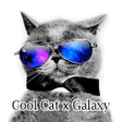 プログラムのアイコン：Cool Cat x Galaxy Theme