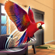 Иконка программы: My Pet World Parrot Simul…