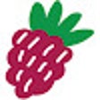 Karadut icon
