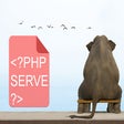 程序图标：ServePHP