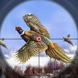 ไอคอนของโปรแกรม: Pheasant Bird Hunting 18